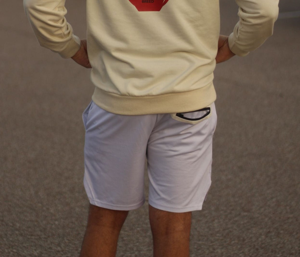 Premium Legacy Shorts